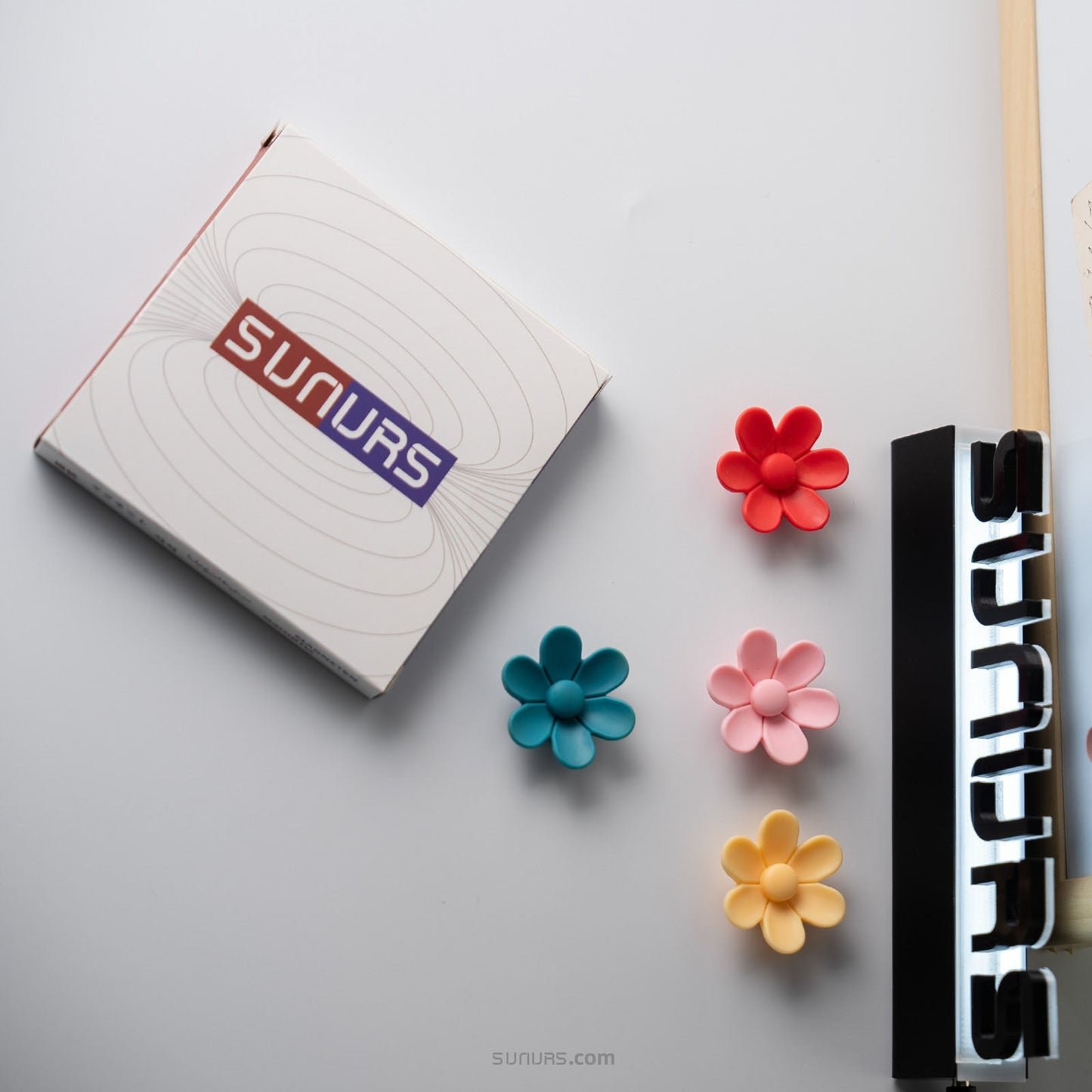Solid color flowers -detail4