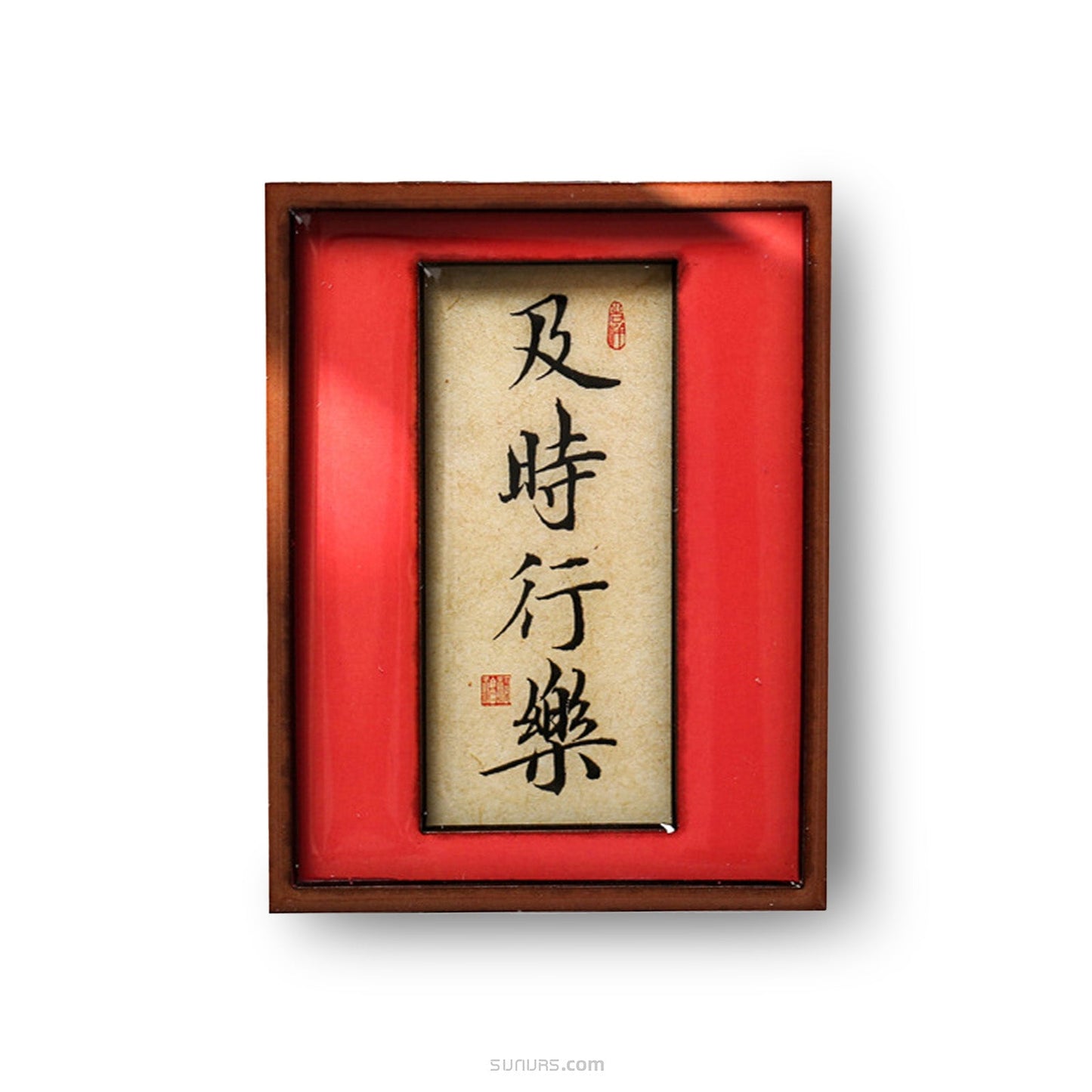 Chinese character - 及时行乐