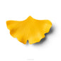 Ginkgo biloba - yellow